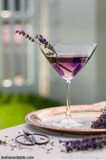 lavender martini receptúra gin vodka bluecoat belvedere