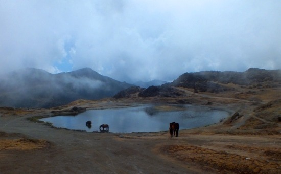 A Pico El Águila csúcsa latt található apró lagúna lóitatóként szolgál 