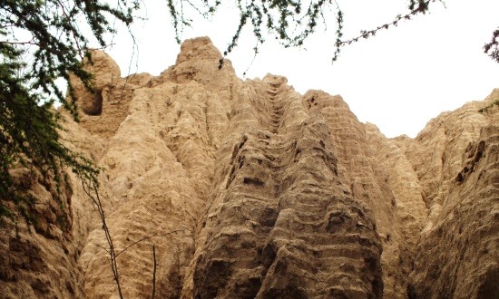 A fák közül előbukkannak Batán Grande egyik piramisának maradványai