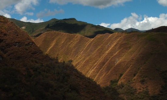 Dél-Ecuadorban a legnagyobb gondot az erdőirtás jelenti