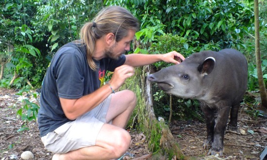 Florencio a legkezesebb vad tapír, amit valaha láttam