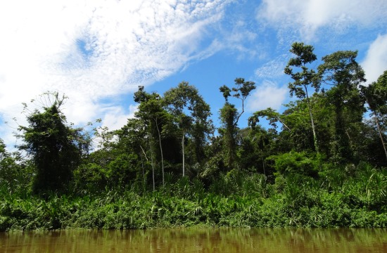 Csodálatos Amazónia
