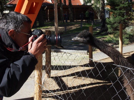 emu állatkert