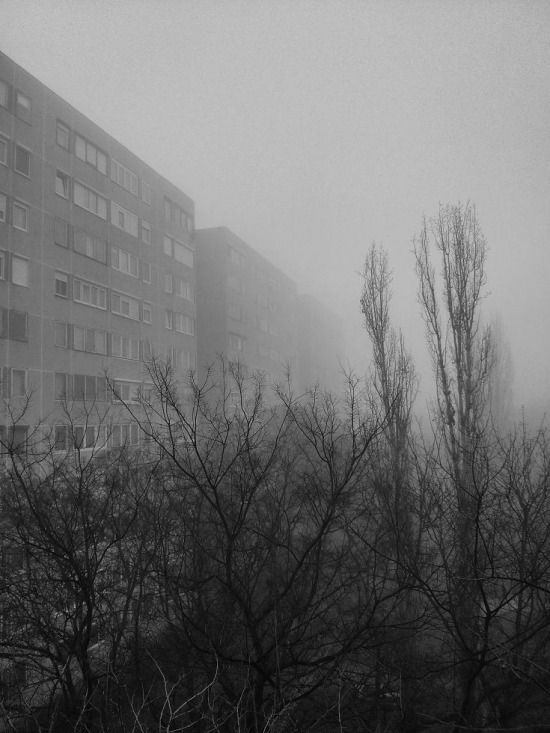 lakótelep köd