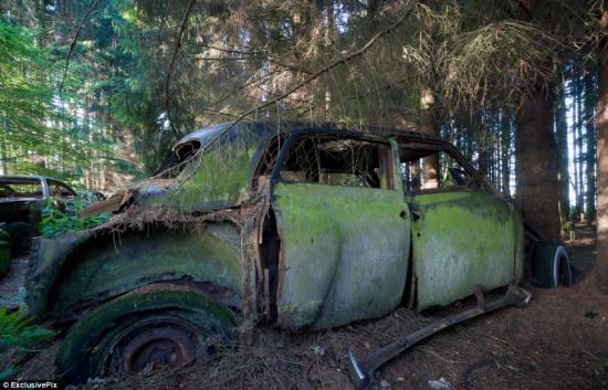 A világ érdekes rejtély misztikus autótemető Belgium Saint-Léger Chantillon Chatillon autó temető erdő roncs amerikai katona