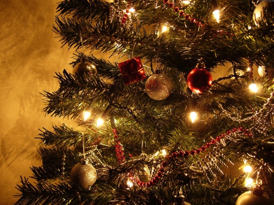 Decorated Christmas Tree.jpg
