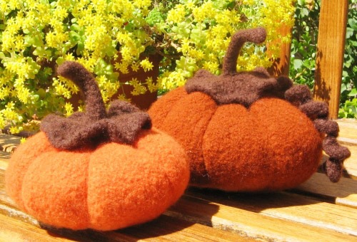 pumpkinsBEAUTY.jpg