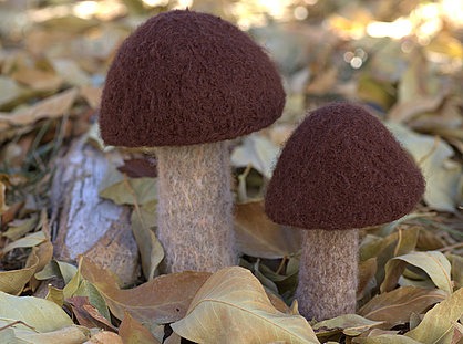 mushroom2.jpg