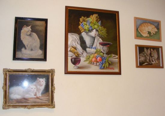Macskás festmények