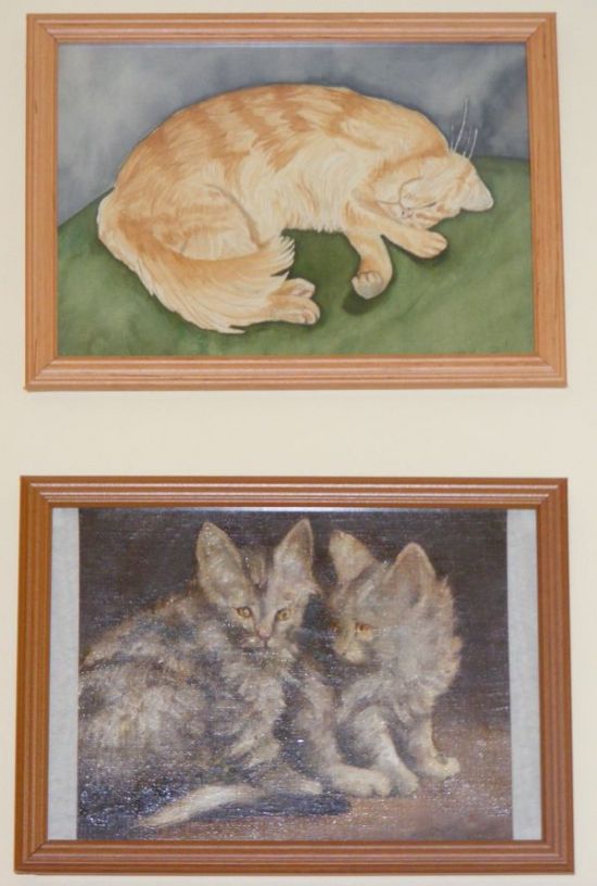 Két kisebb macskás kép